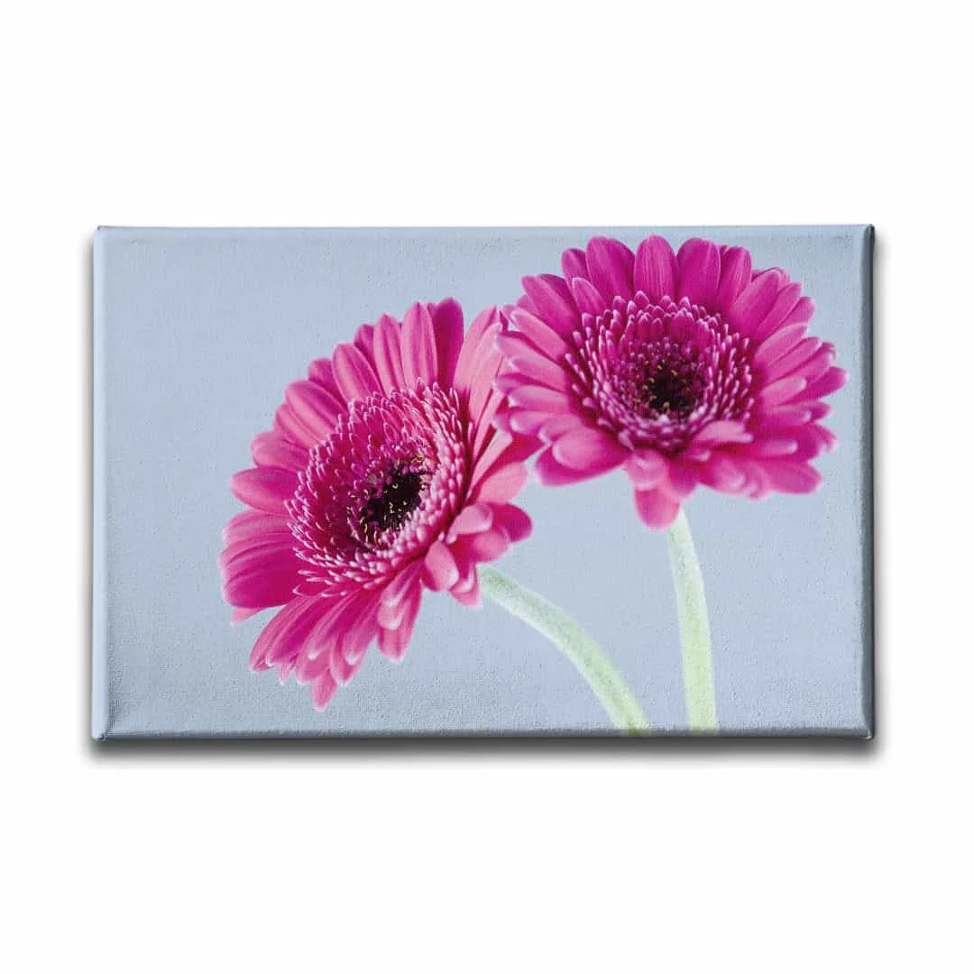 Pembe Cicek Kanvas Tablo