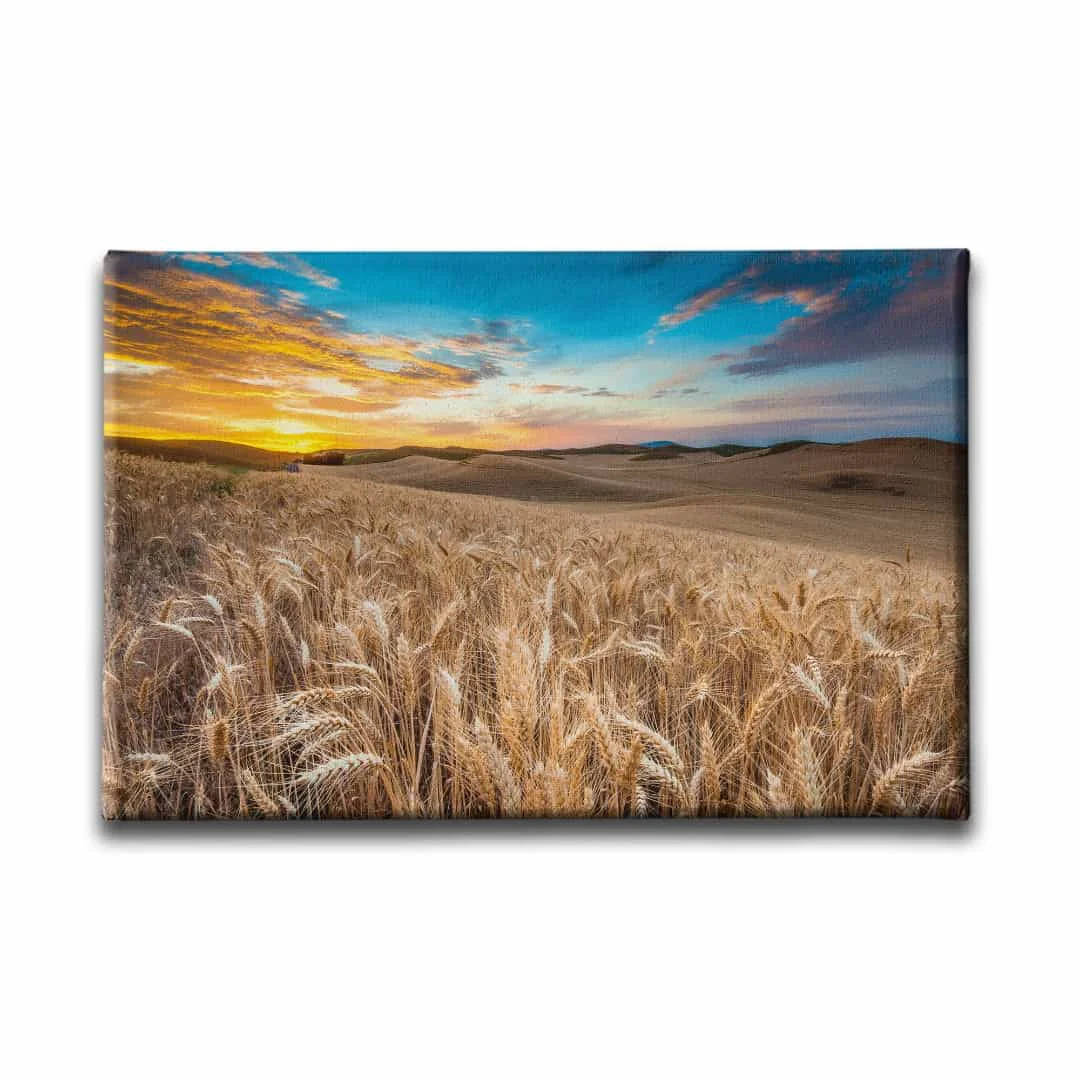 Bugday Tarlasi Manzara Tablo