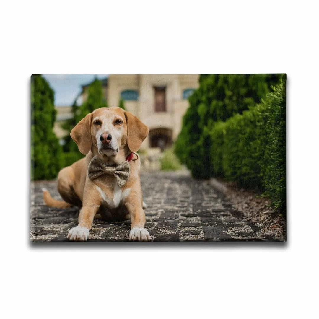 Yavru Tilkiler Kanvas Tablo