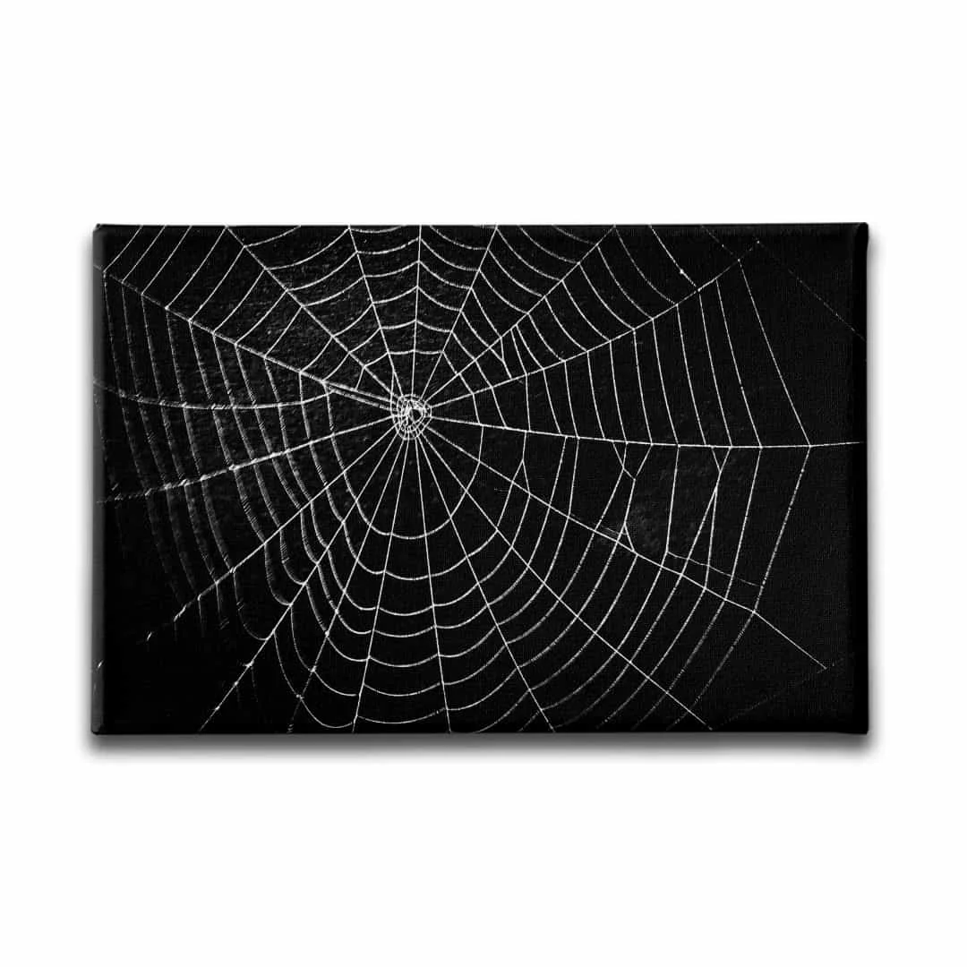 Orumcek Agi  Canvas Tablo