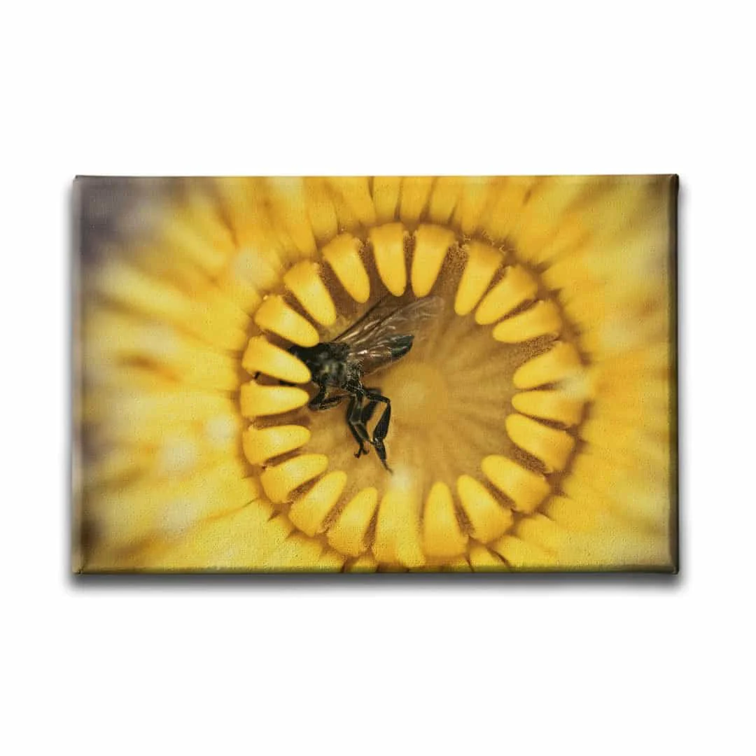 Cicek Ve Bal Arisi  Canvas Tablo