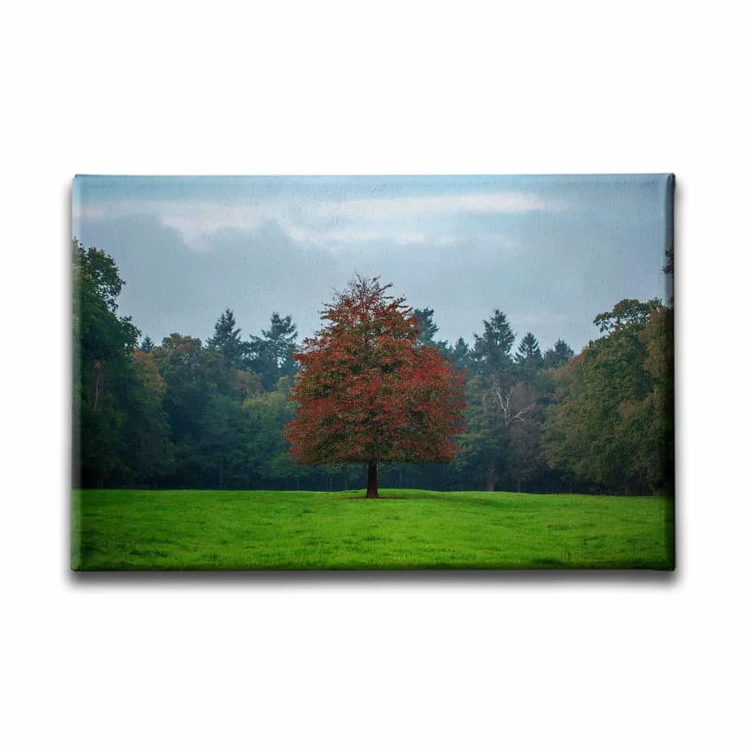 Agac Manzara Tablo