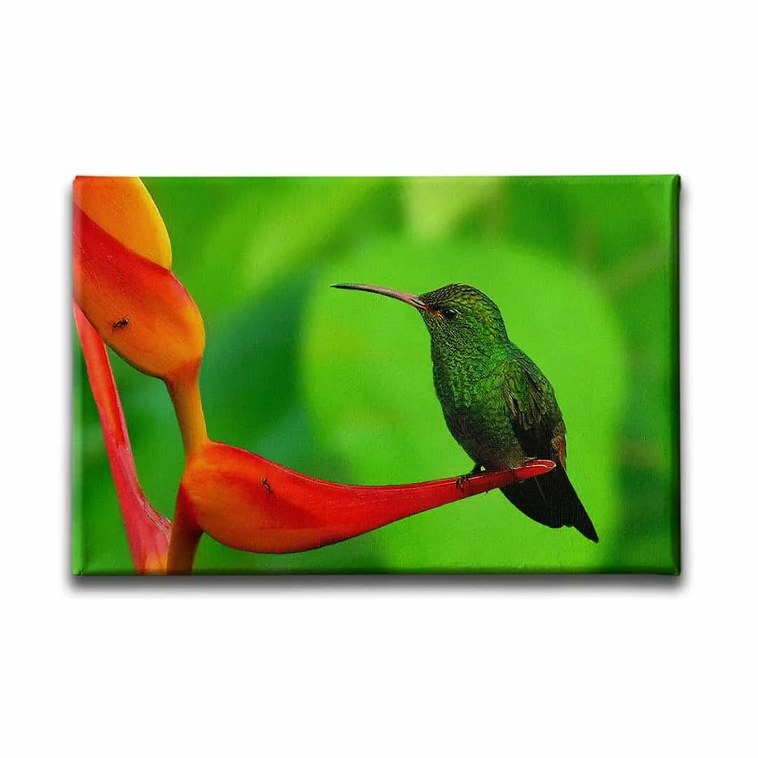 Sinek Kusu Kanvas Tablo