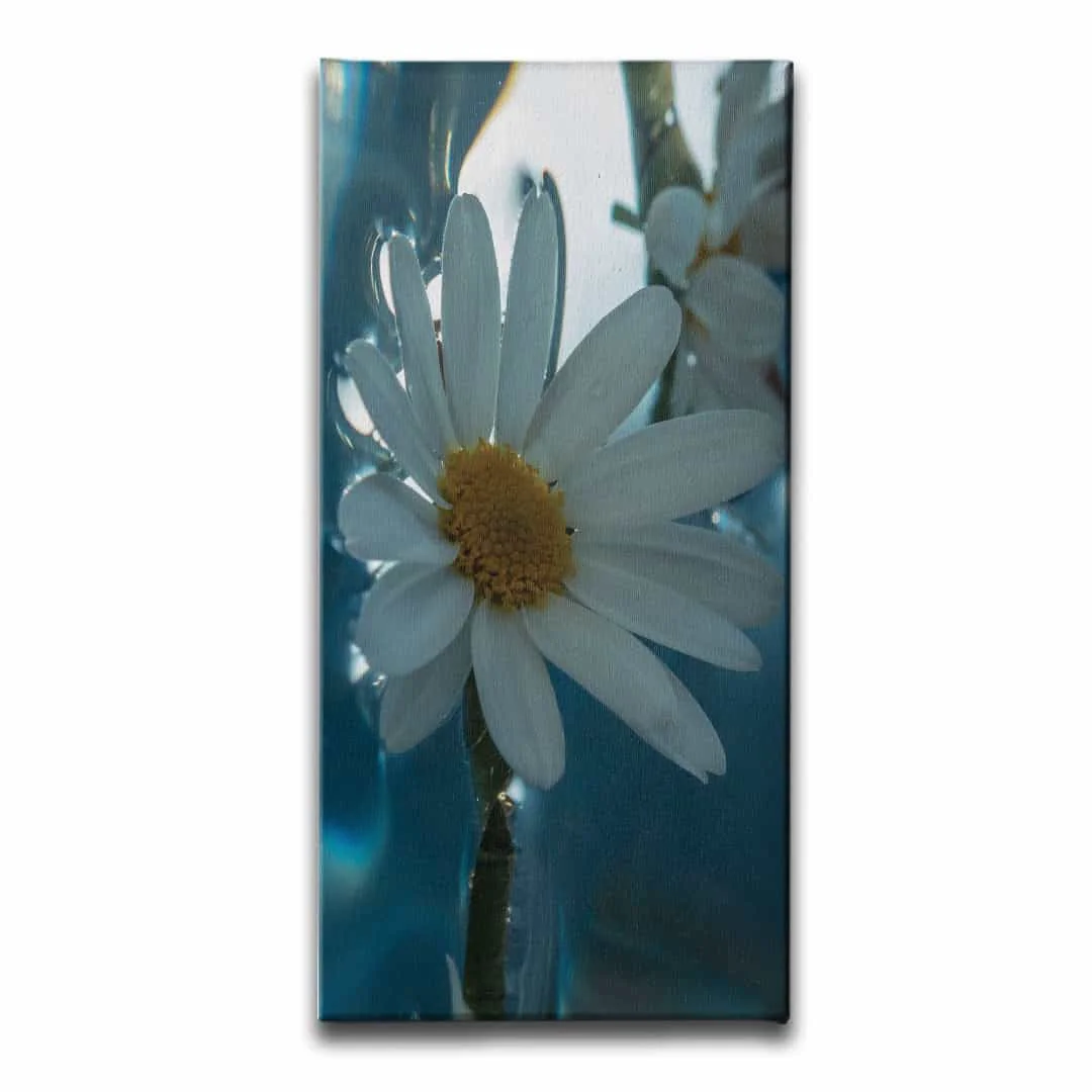 Papatya Kanvas Tablo